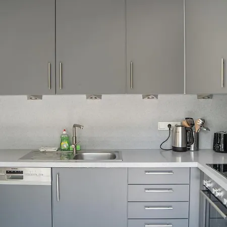 Exquisite Penthouse W Mountain View, Close To Dt Id34 *